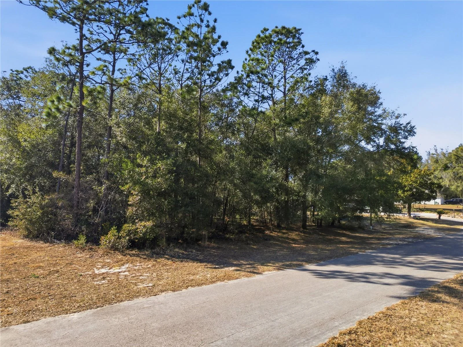 8420 N FORESOME WAY, CITRUS SPRINGS, FL — photo 10