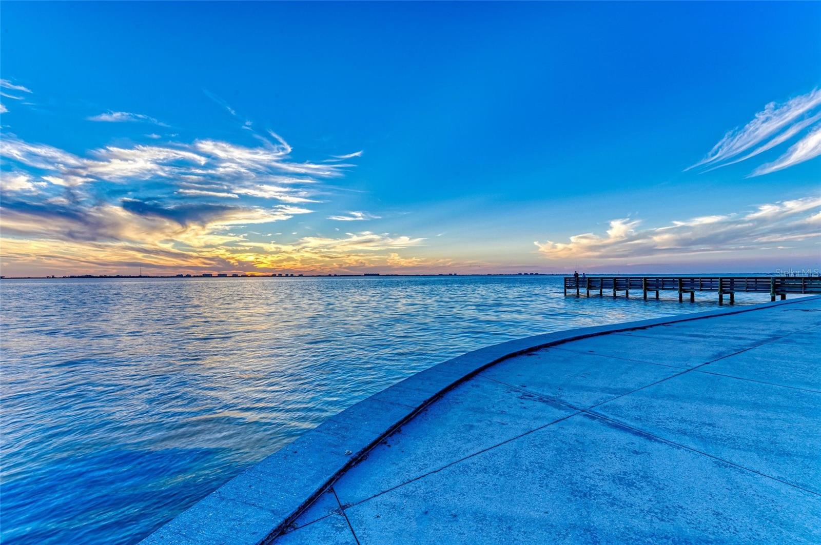 8383 CYPRESS HOLLOW DR, SARASOTA, FL — photo 59