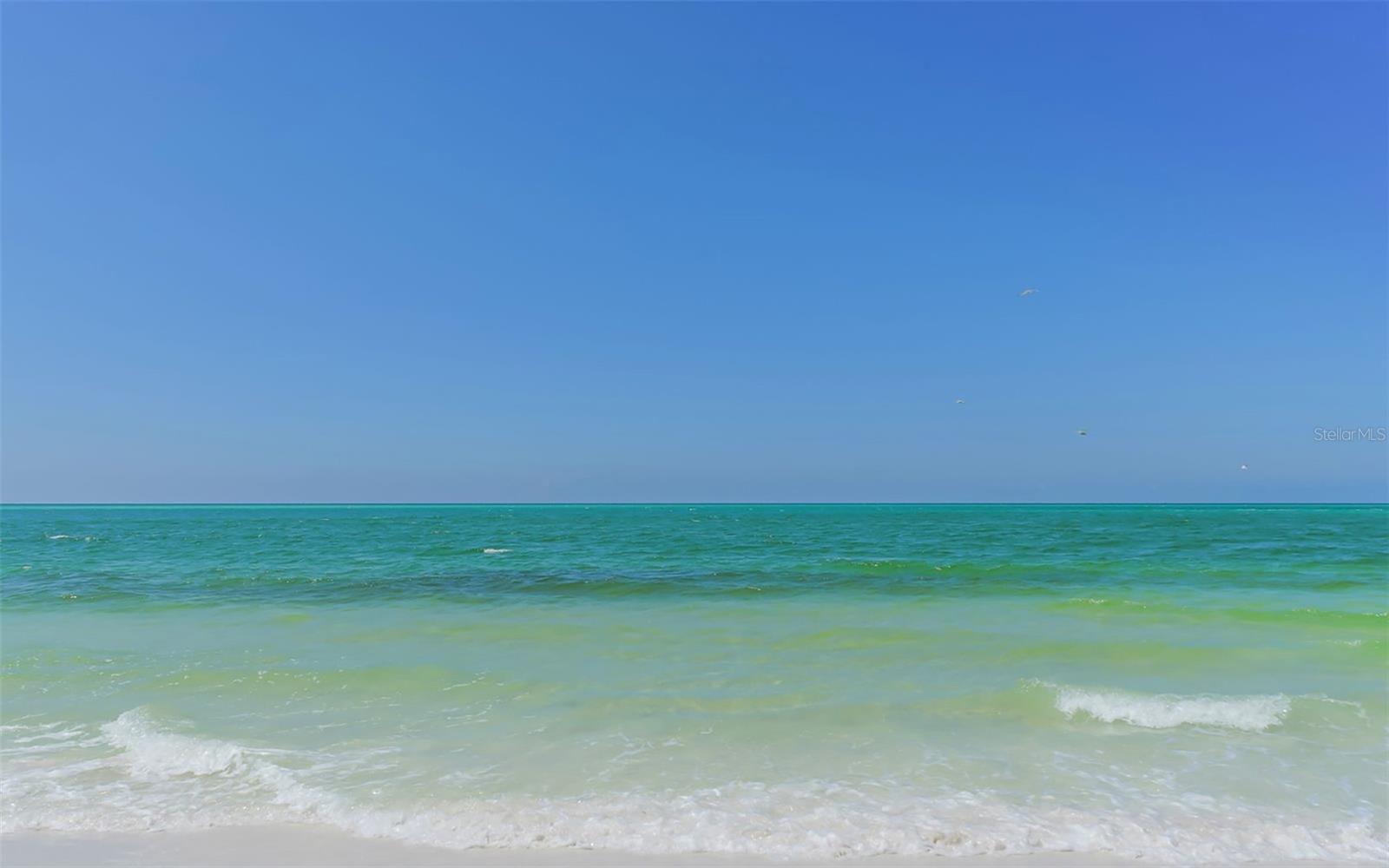 19 WHISPERING SANDS DR #204, SARASOTA, FL — photo 42