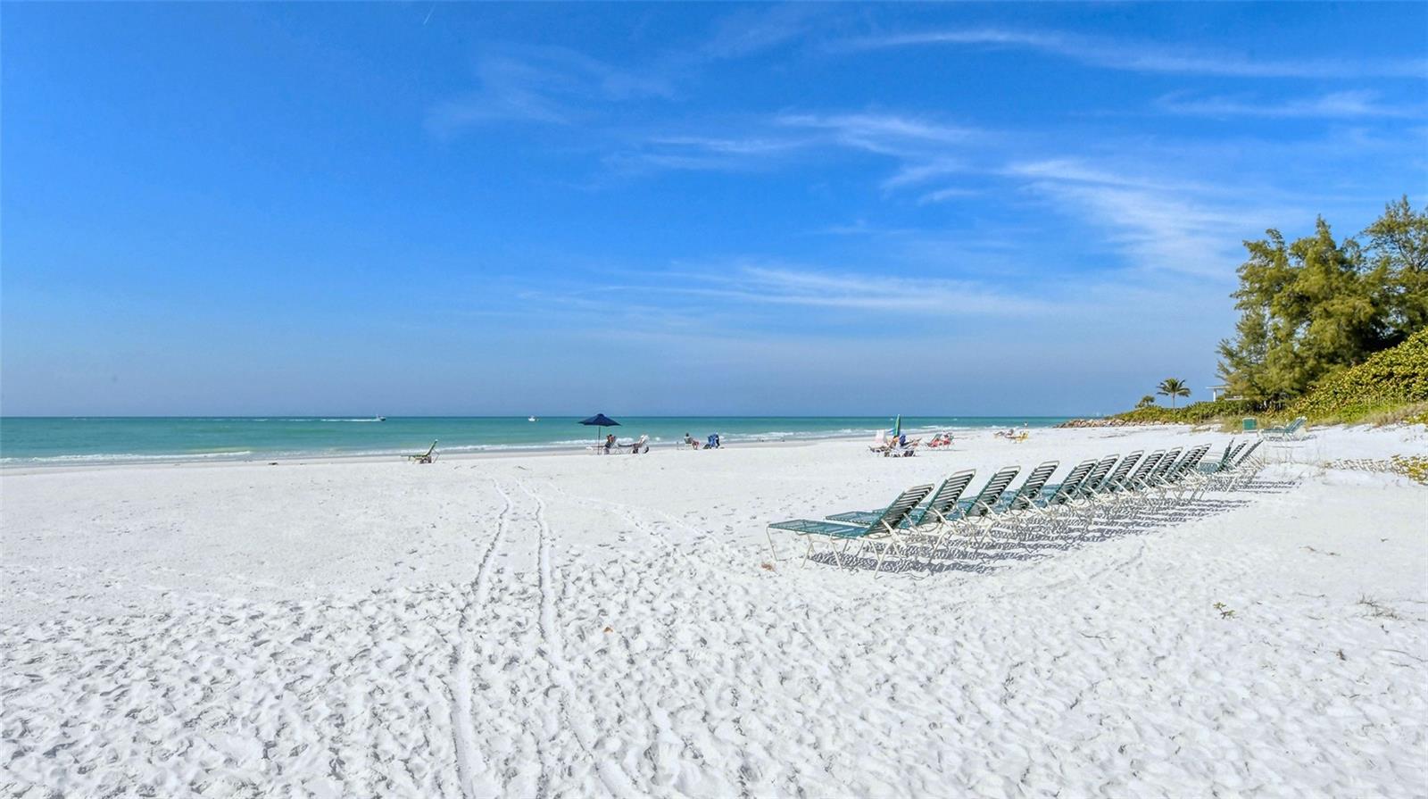 19 WHISPERING SANDS DR #204, SARASOTA, FL — photo 47