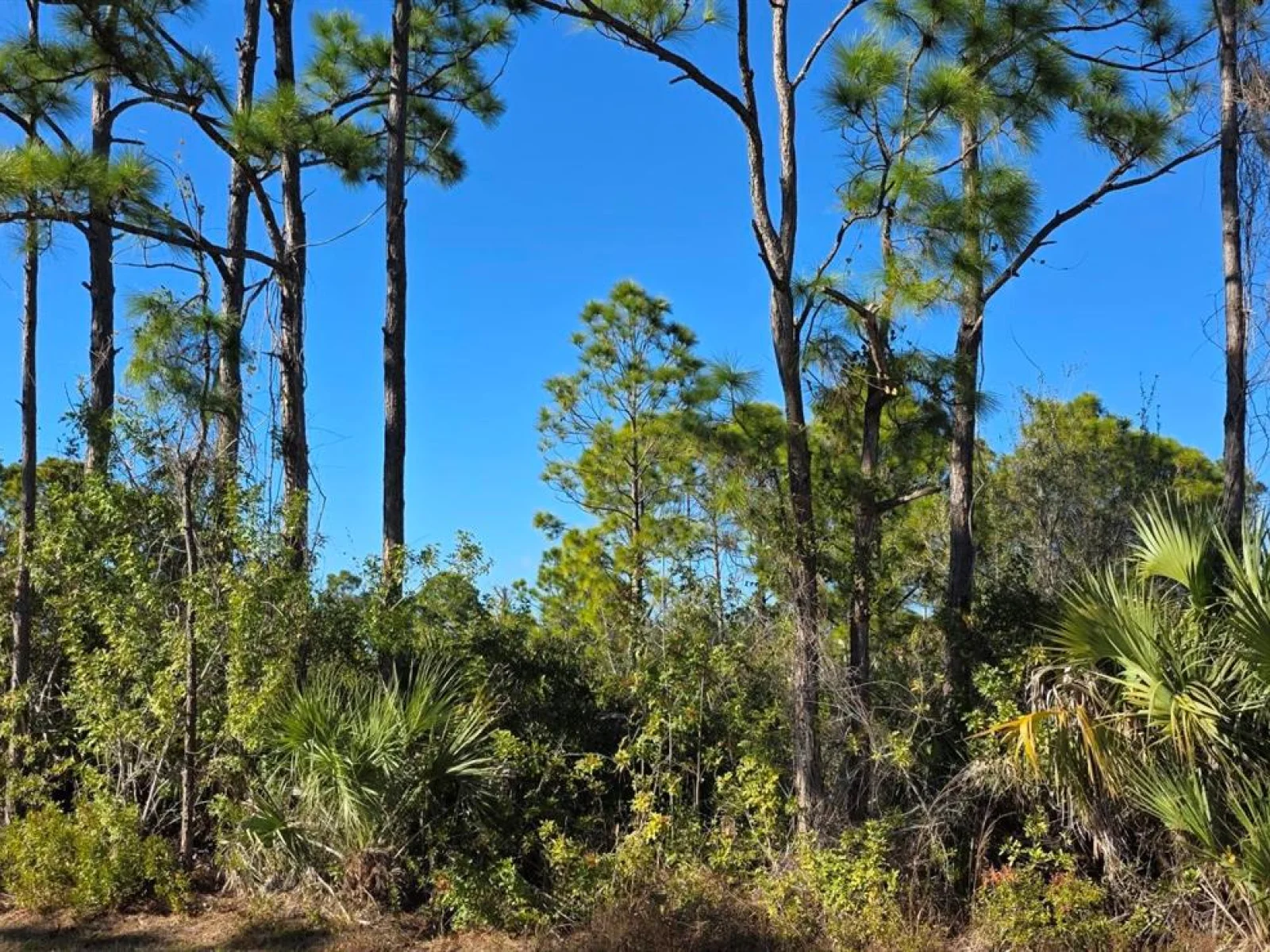12054 KELLER AVE, PORT CHARLOTTE, FL — photo 3