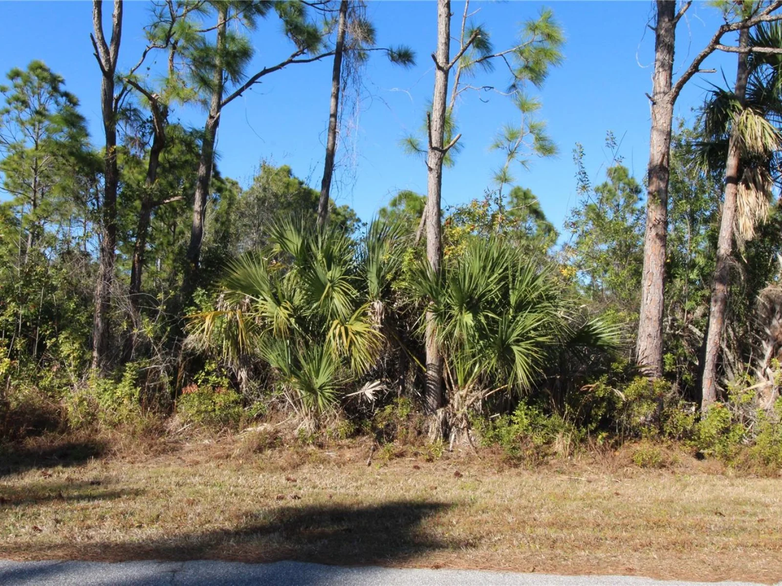 12054 KELLER AVE, PORT CHARLOTTE, FL — photo 7