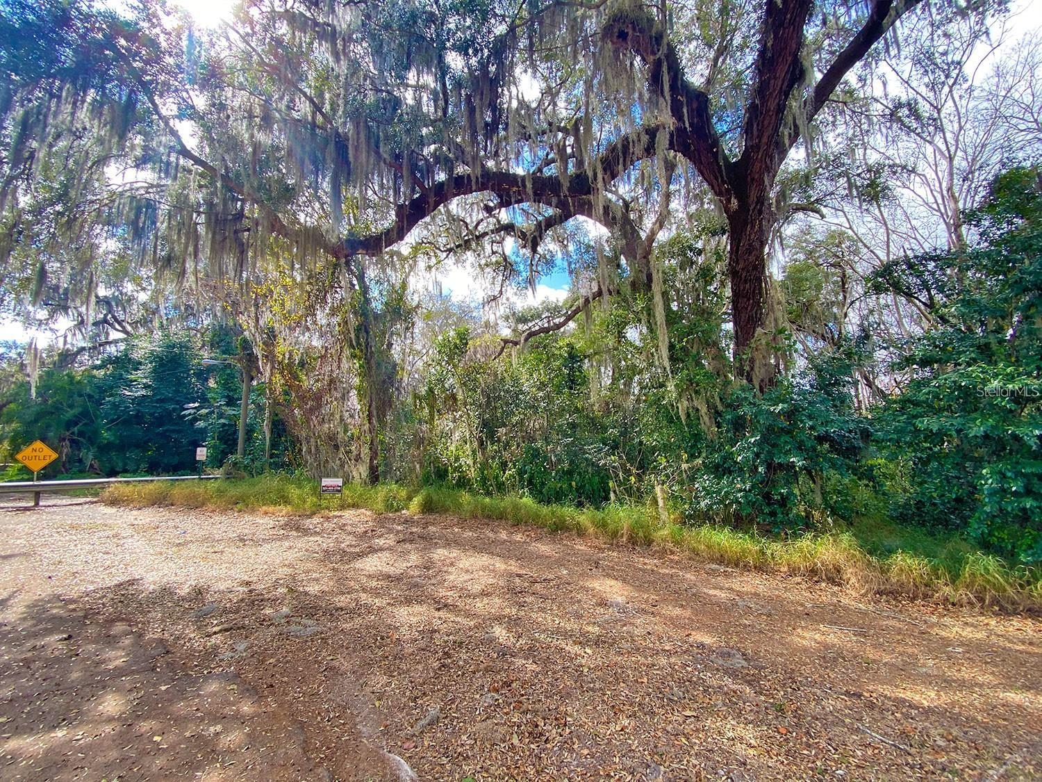 3RD ST, MONTVERDE, FL — photo 3