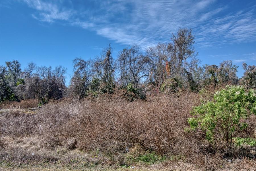 3RD ST, MONTVERDE, FL — photo 10