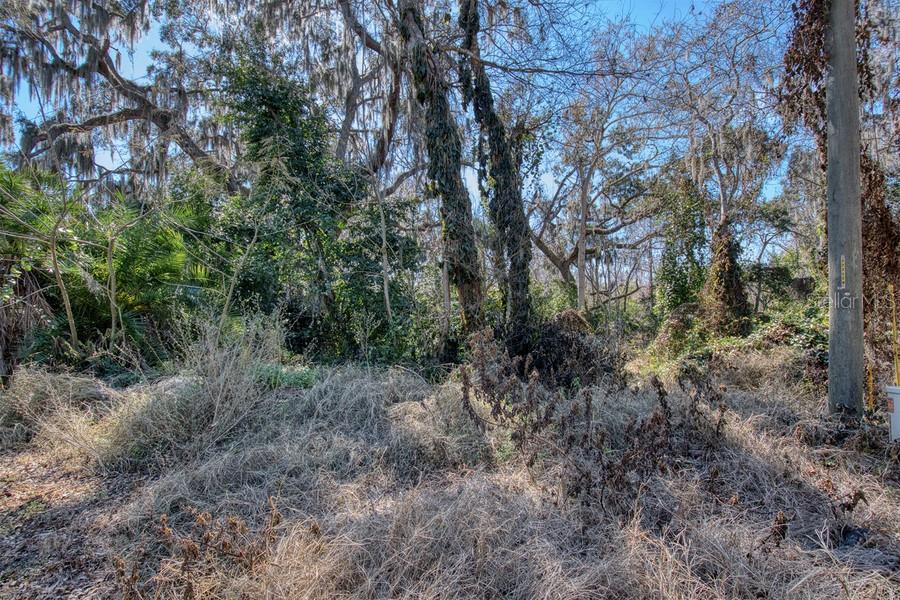3RD ST, MONTVERDE, FL — photo 17