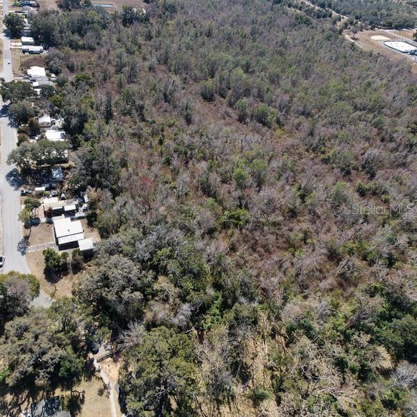 3RD ST, MONTVERDE, FL — photo 24