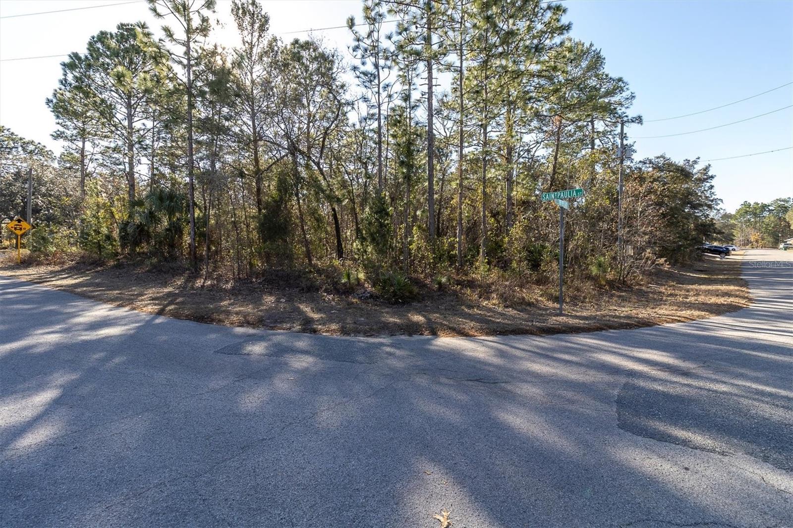 30 BELLS OF IRELAND CT, HOMOSASSA, FL — photo 2