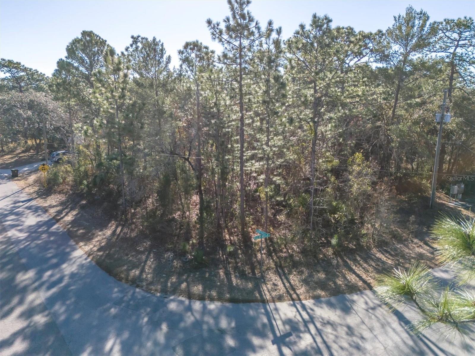 30 BELLS OF IRELAND CT, HOMOSASSA, FL — photo 4