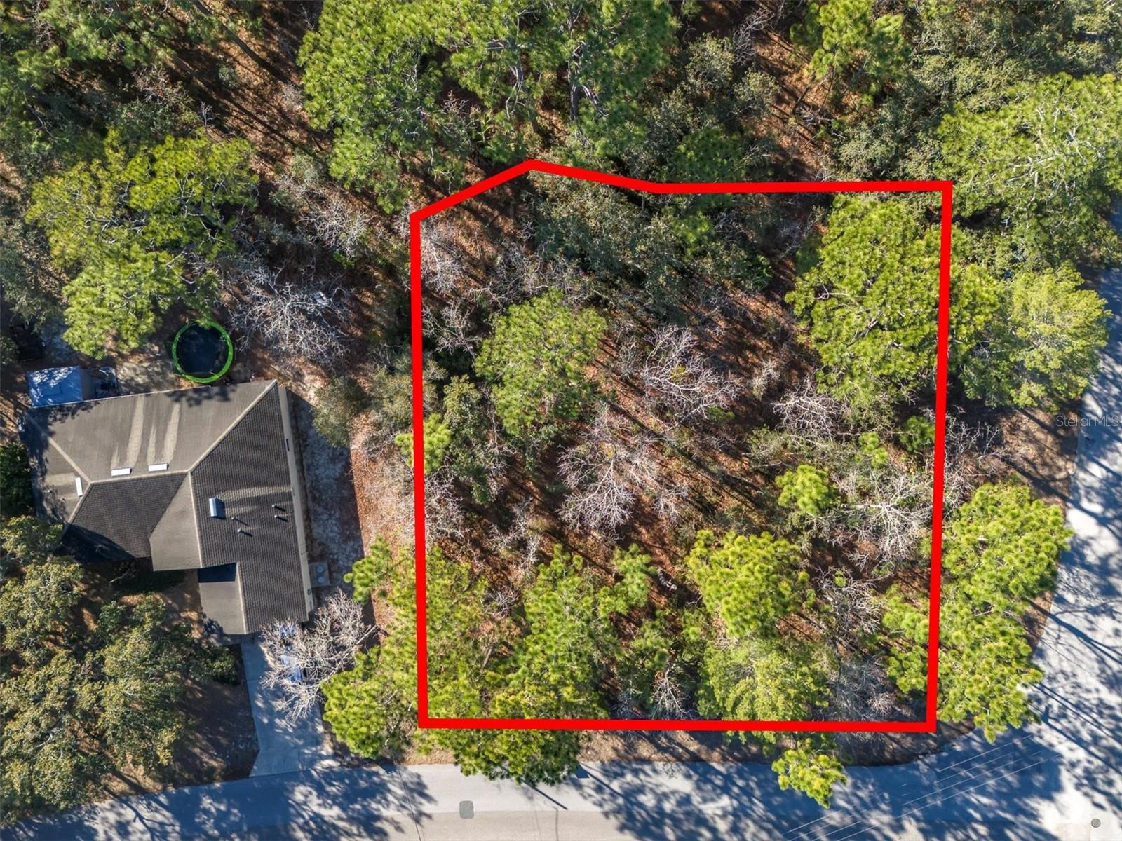 30 BELLS OF IRELAND CT, HOMOSASSA, FL — photo 5