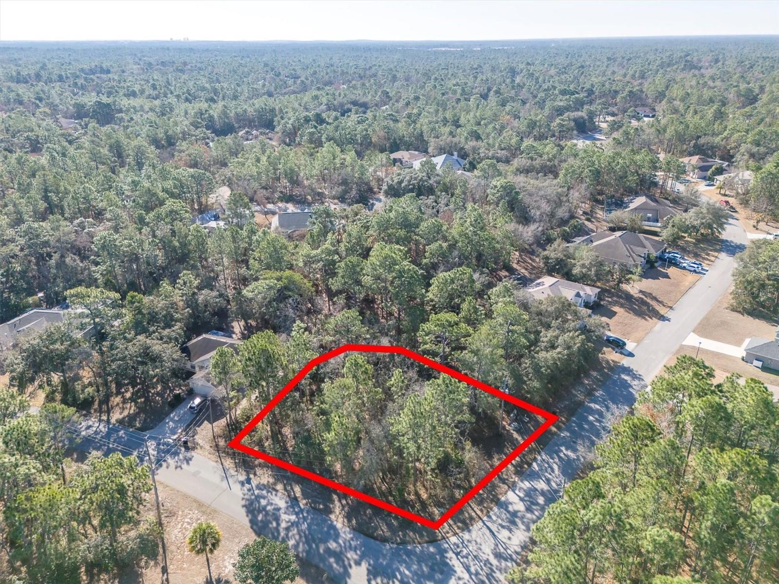 30 BELLS OF IRELAND CT, HOMOSASSA, FL — photo 6