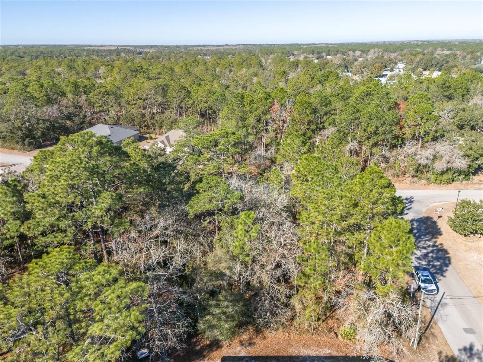 30 BELLS OF IRELAND CT, HOMOSASSA, FL — photo 7