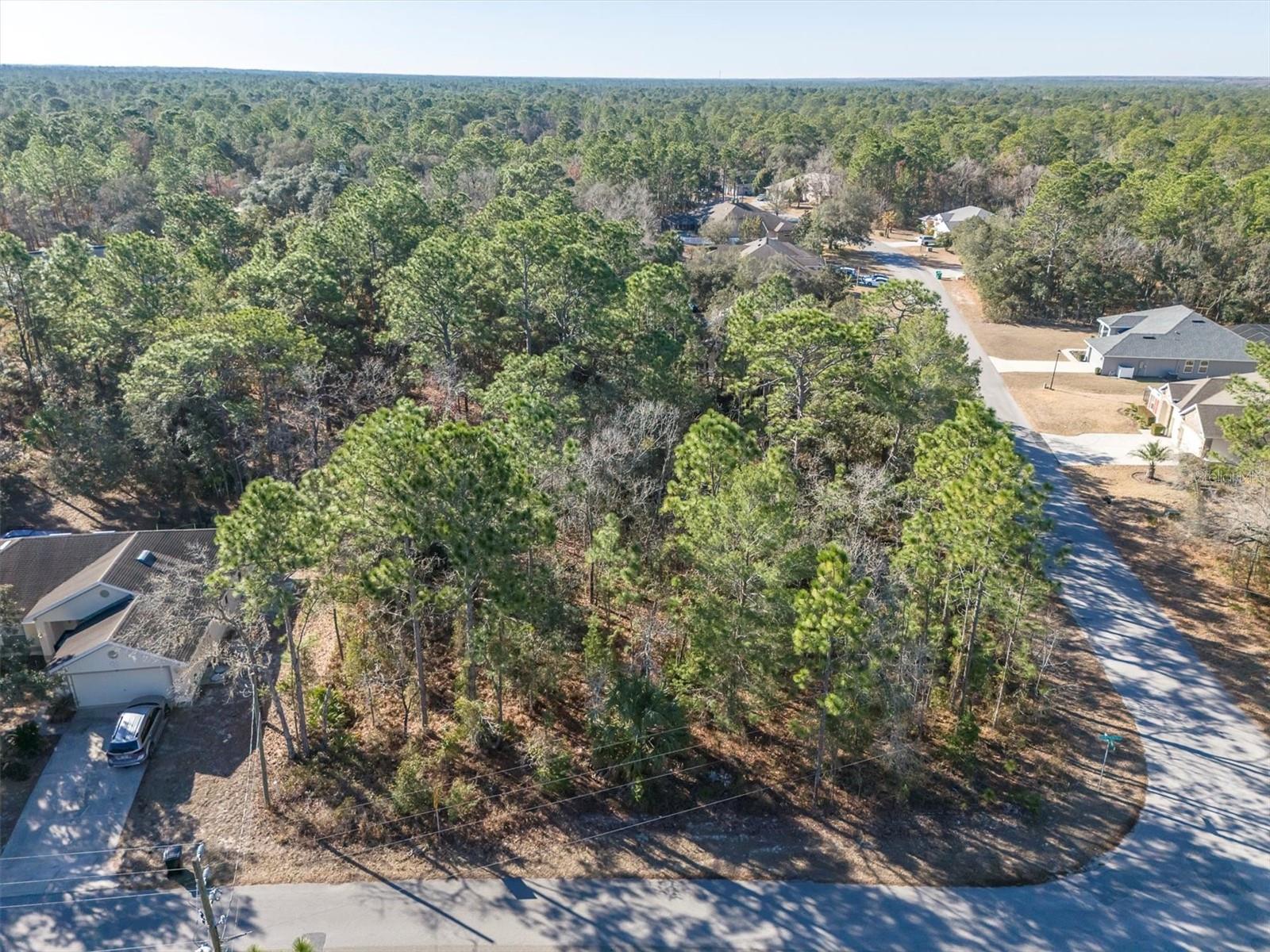 30 BELLS OF IRELAND CT, HOMOSASSA, FL — photo 8