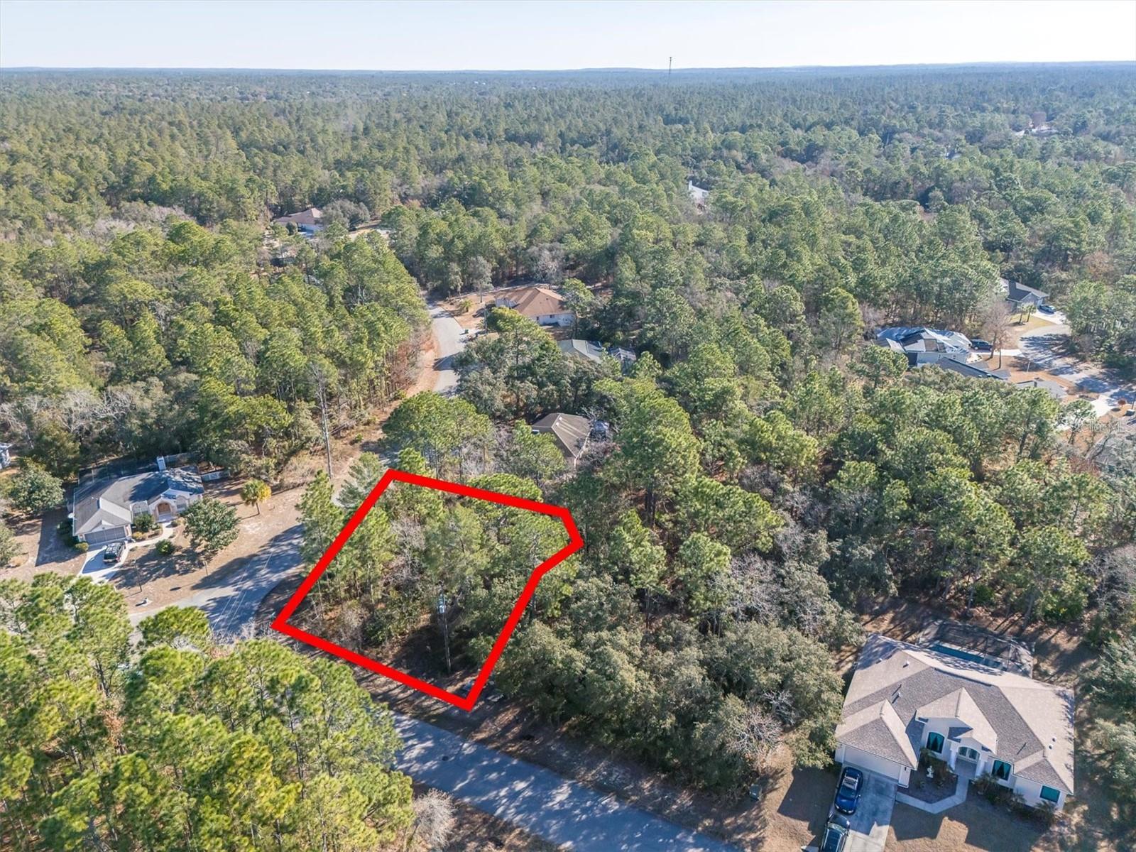 30 BELLS OF IRELAND CT, HOMOSASSA, FL — photo 9