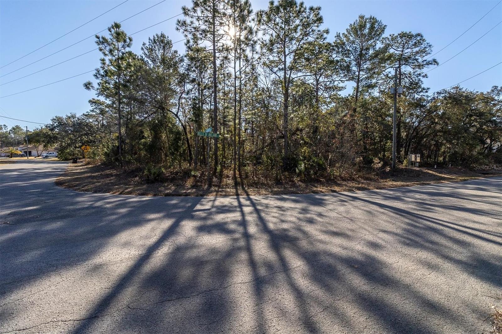 30 BELLS OF IRELAND CT, HOMOSASSA, FL — photo 10