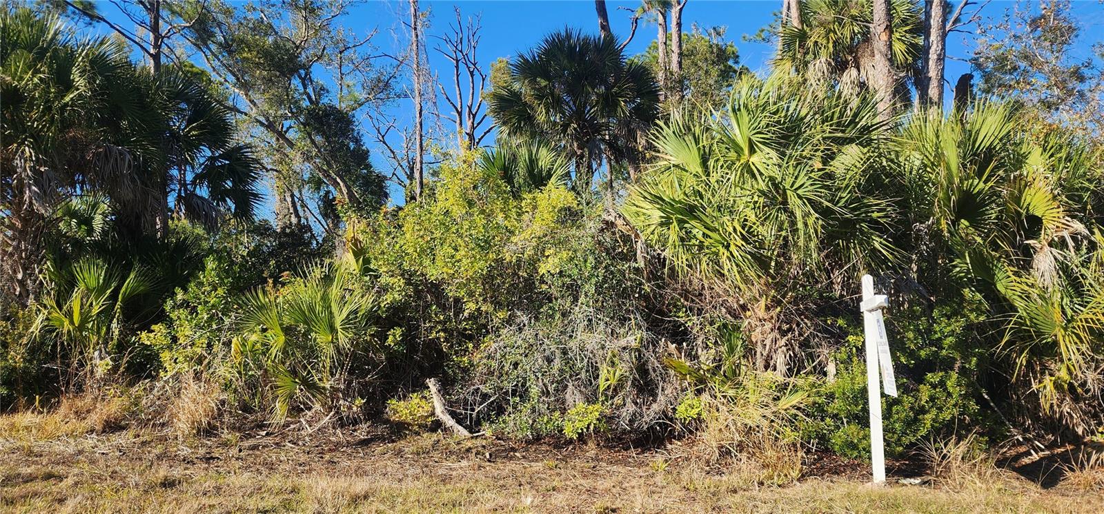 12006 COLEMAN AVE, PORT CHARLOTTE, FL — photo 3