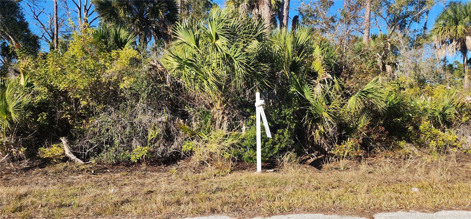 12006 COLEMAN AVE, PORT CHARLOTTE, FL — photo 4