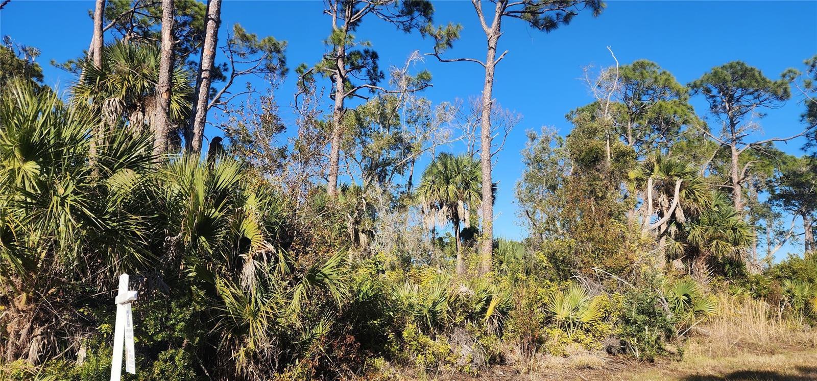 12006 COLEMAN AVE, PORT CHARLOTTE, FL — photo 7