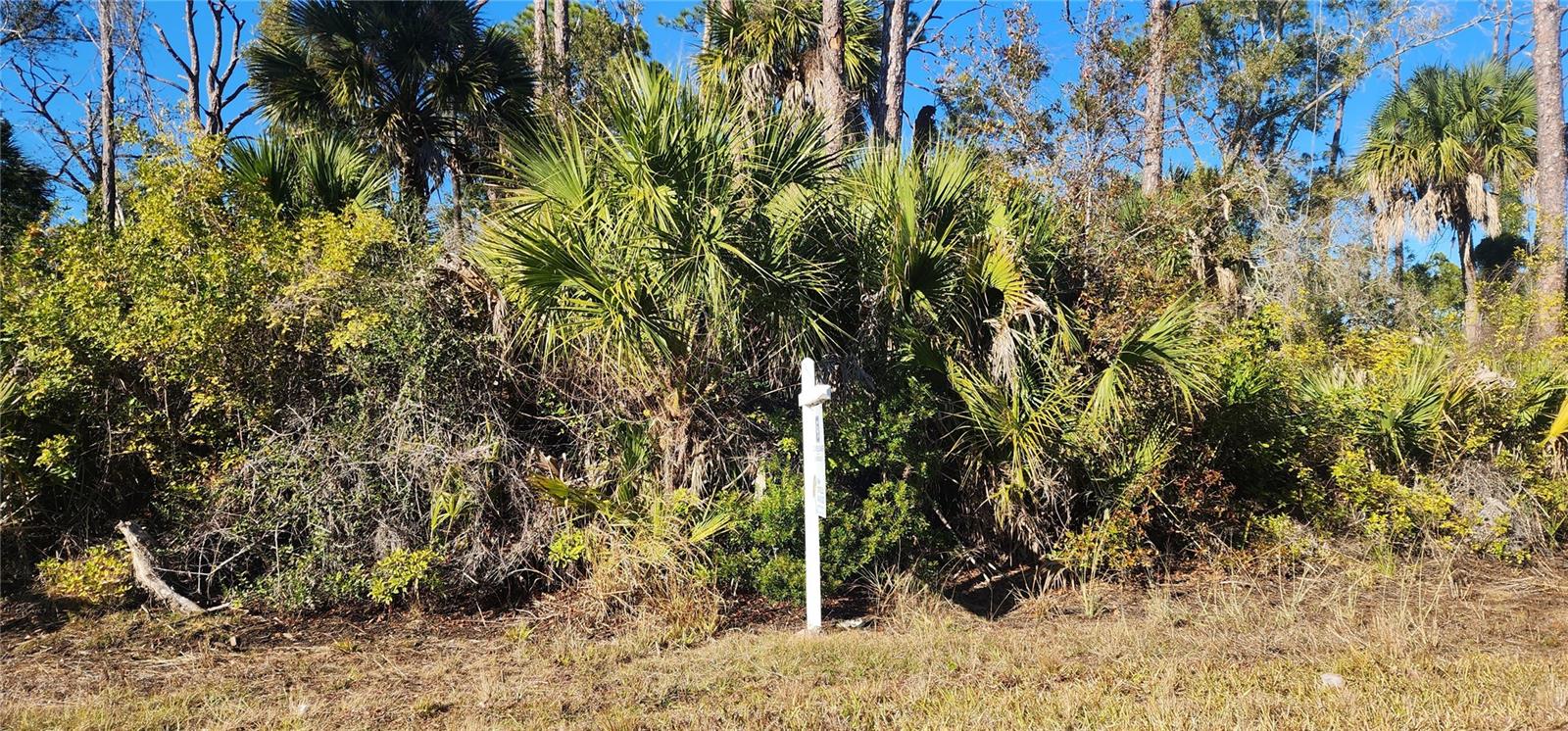 12006 COLEMAN AVE, PORT CHARLOTTE, FL — photo 8
