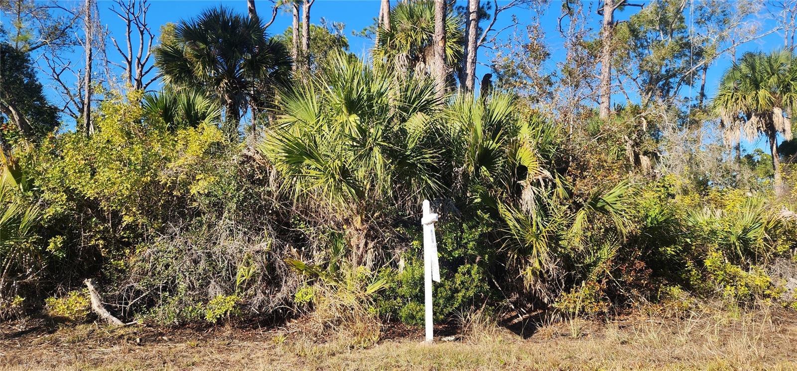 12006 COLEMAN AVE, PORT CHARLOTTE, FL — photo 9