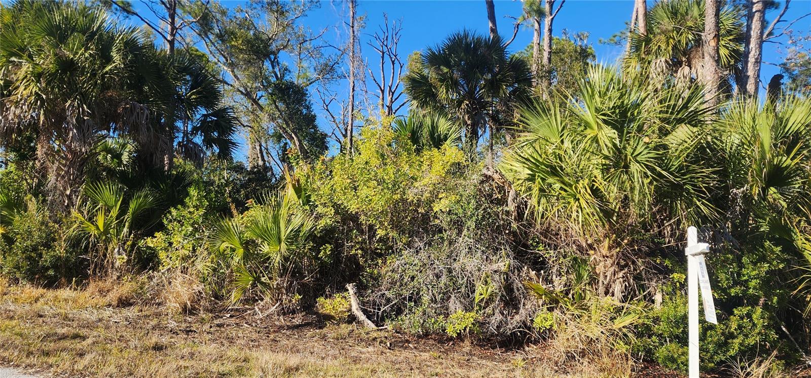 12006 COLEMAN AVE, PORT CHARLOTTE, FL — photo 10