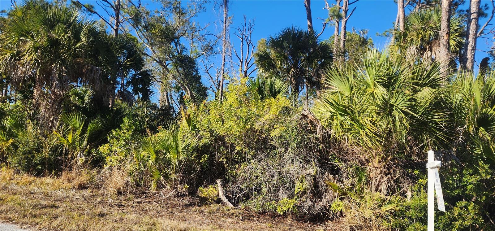 12006 COLEMAN AVE, PORT CHARLOTTE, FL — photo 11
