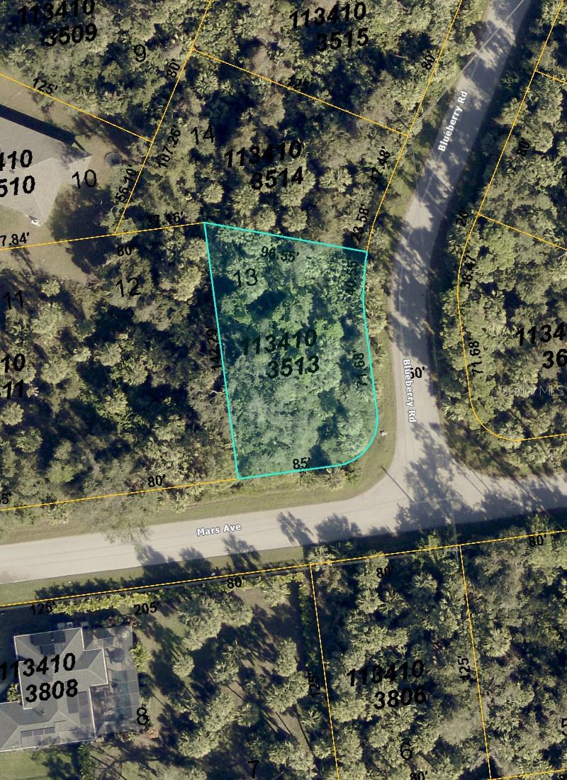 BLUEBERRY RD, NORTH PORT, FL