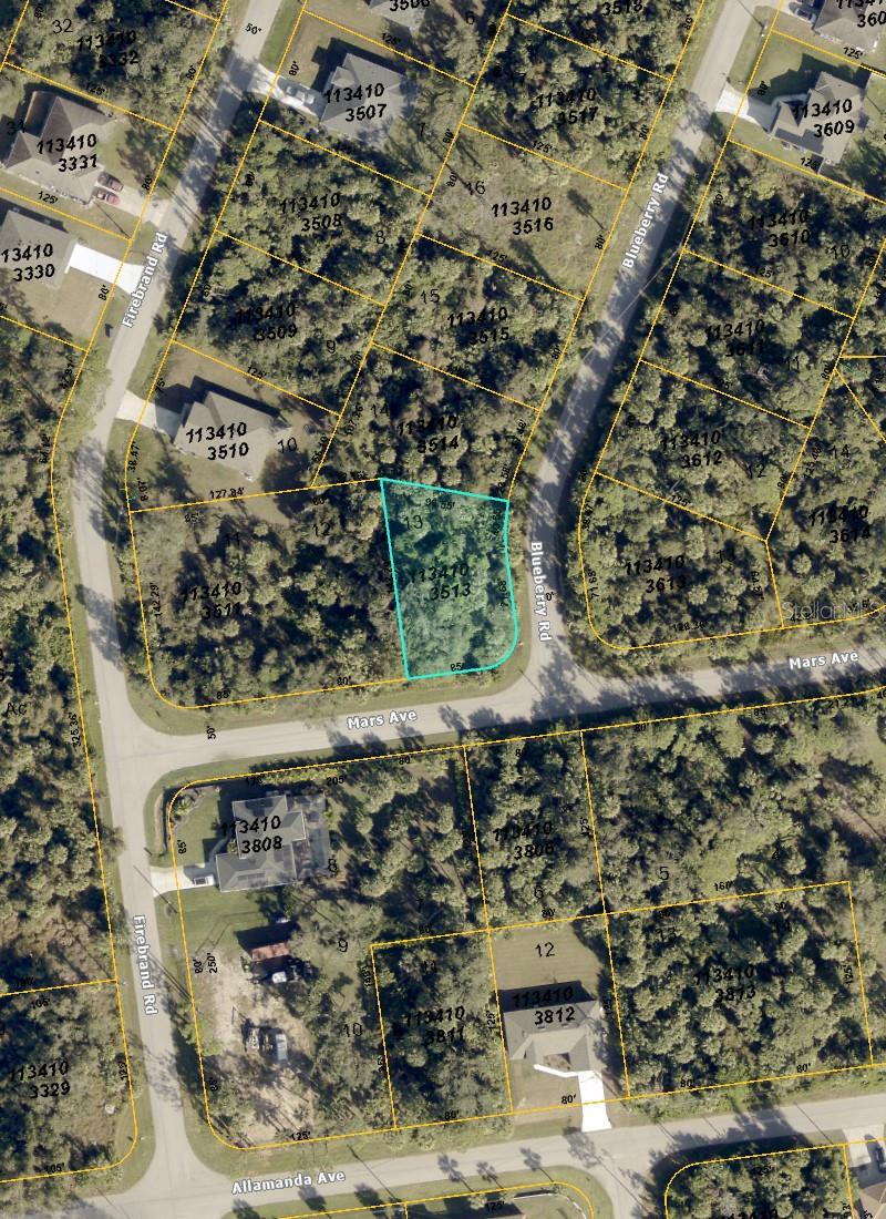 BLUEBERRY RD, NORTH PORT, FL — photo 3