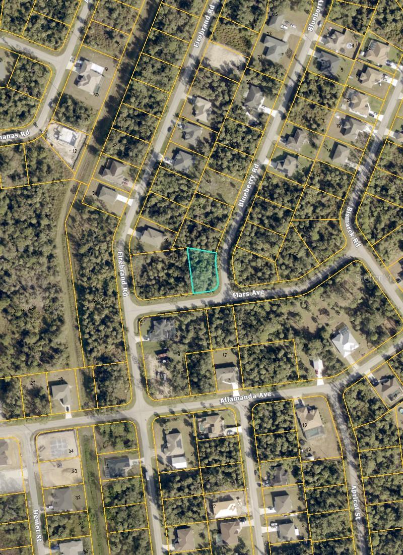 BLUEBERRY RD, NORTH PORT, FL — photo 4