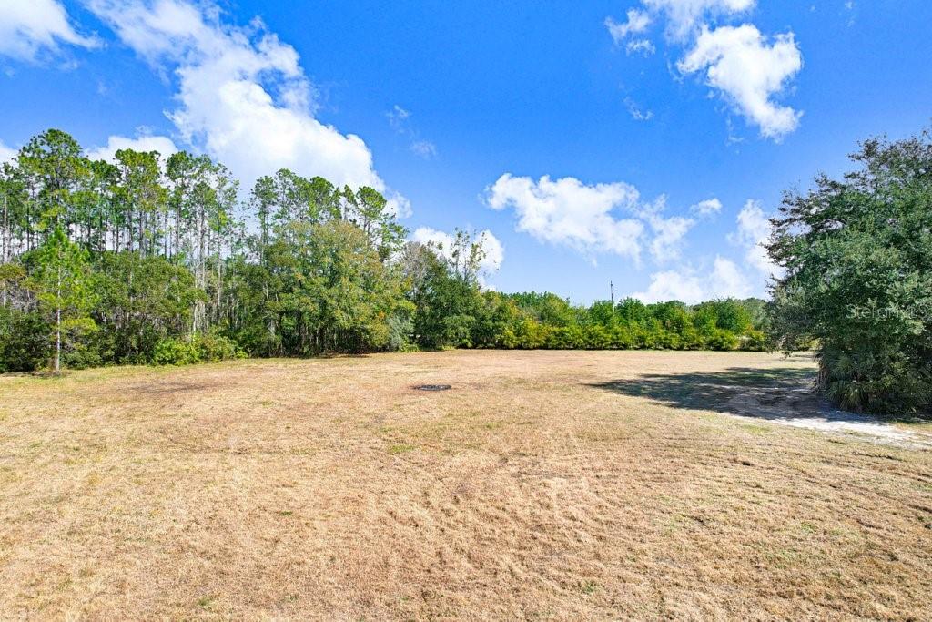 TOBACCO RD, LUTZ, FL — photo 10