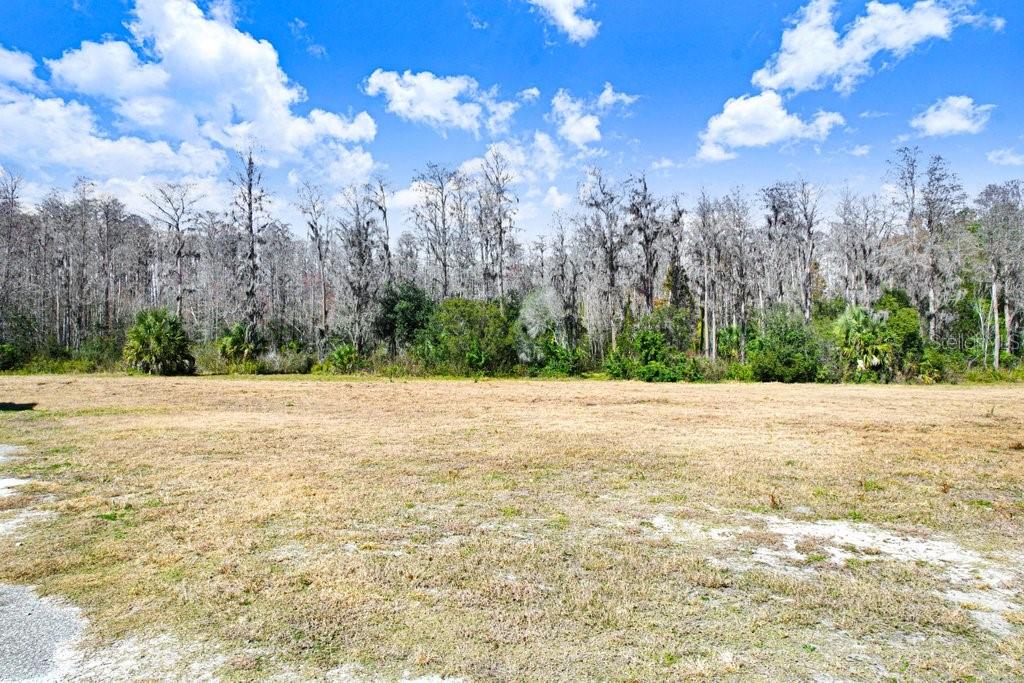 TOBACCO RD, LUTZ, FL — photo 12