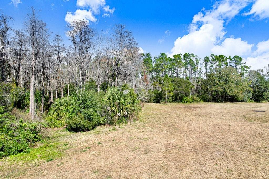TOBACCO RD, LUTZ, FL — photo 13