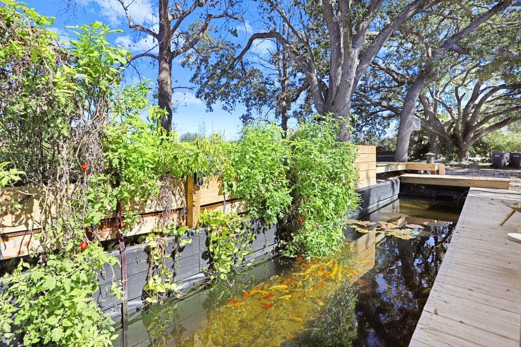 TOBACCO RD, LUTZ, FL — photo 19