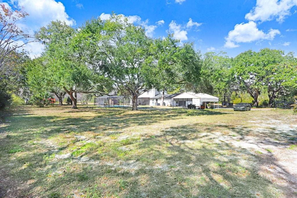 TOBACCO RD, LUTZ, FL — photo 40
