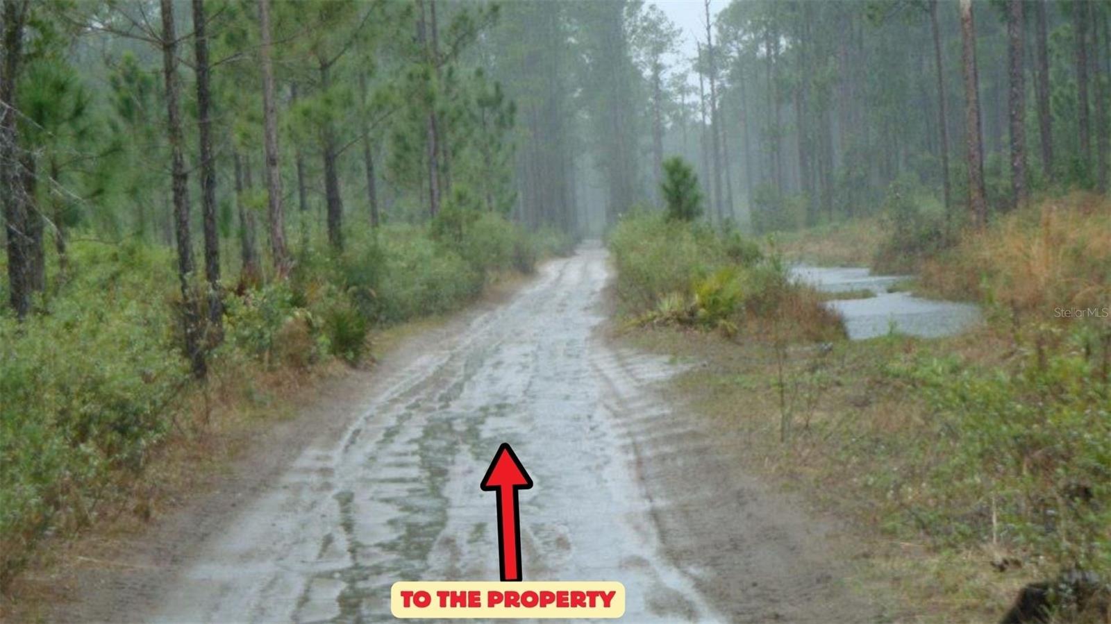 HWY 630 E, FROSTPROOF, FL