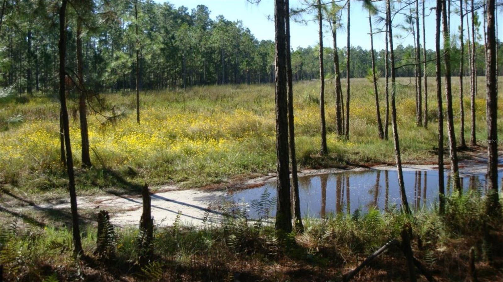 HWY 630 E, FROSTPROOF, FL — photo 9