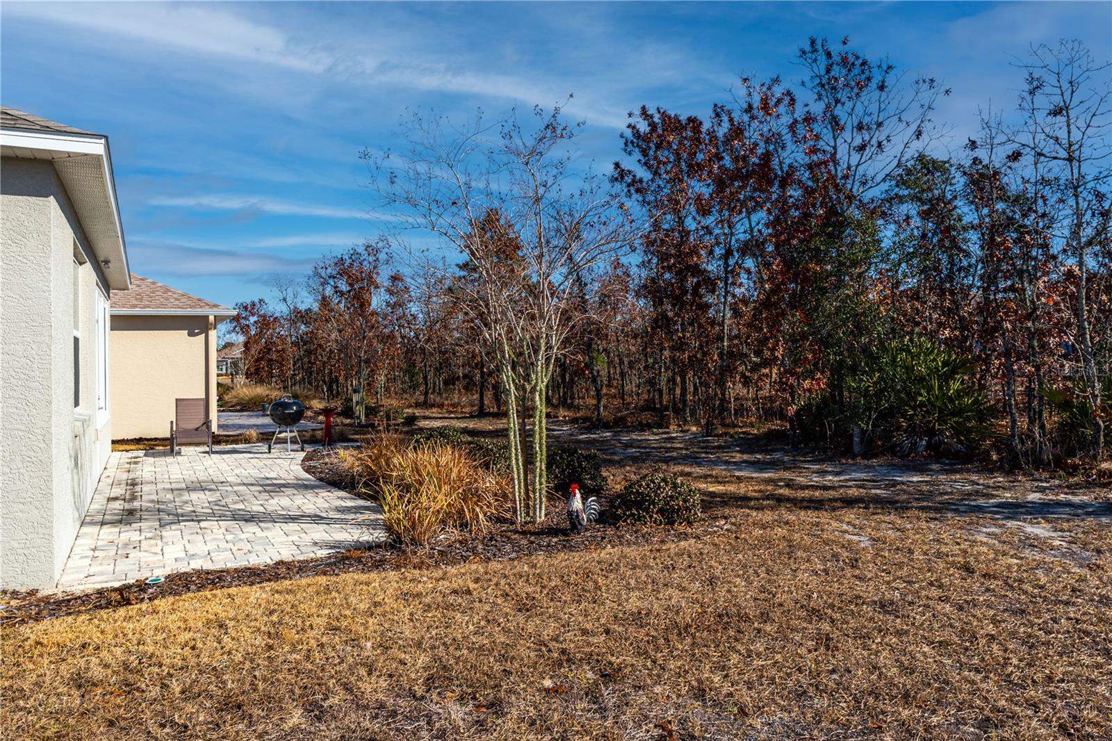 9325 SW 106TH AVE, OCALA, FL — photo 4