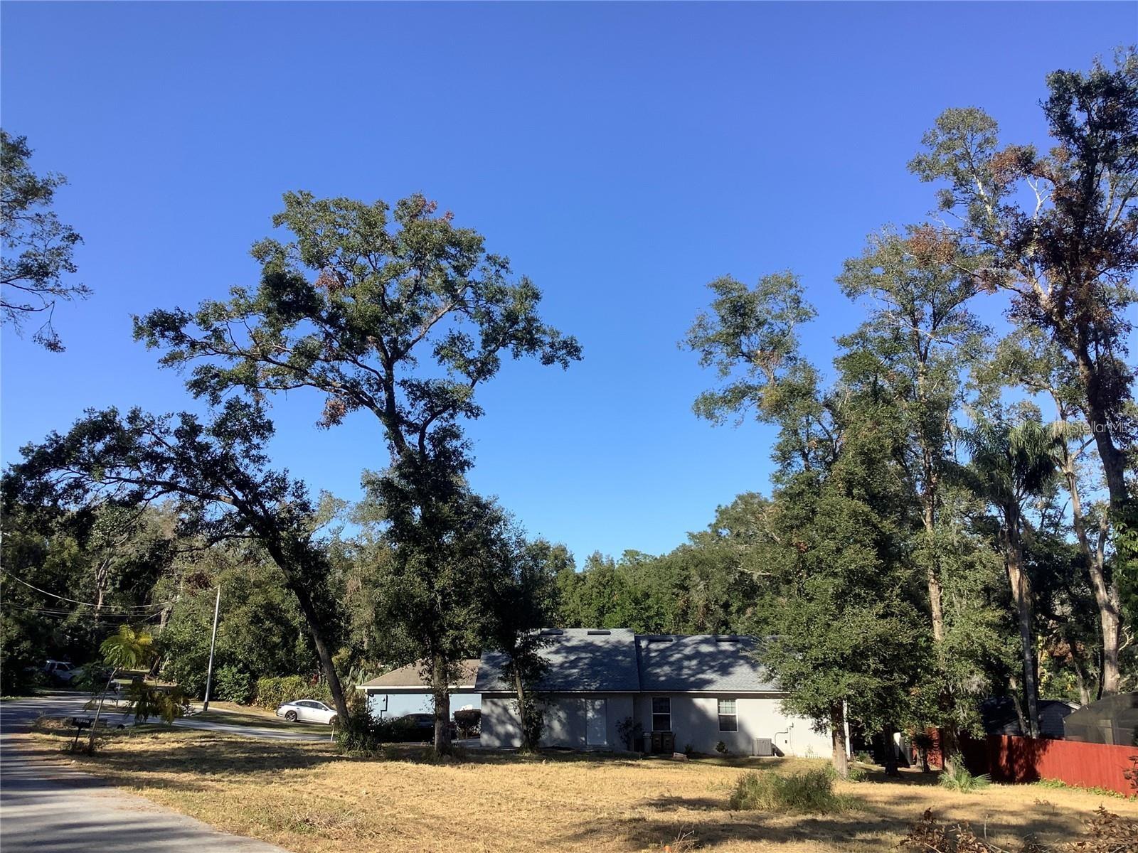 APAWAMIS DR, SORRENTO, FL — photo 14