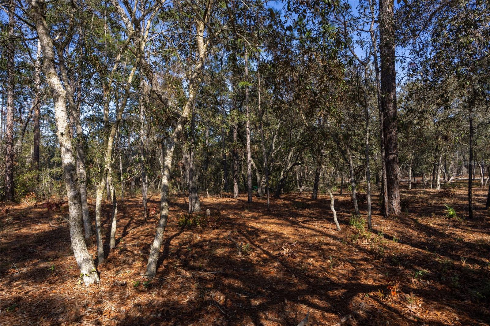 5793 SW 121ST TER, OCALA, FL — photo 43