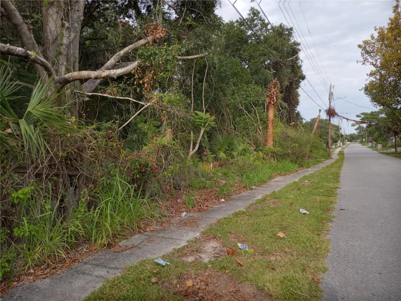 CARVER ST, MIMS, FL