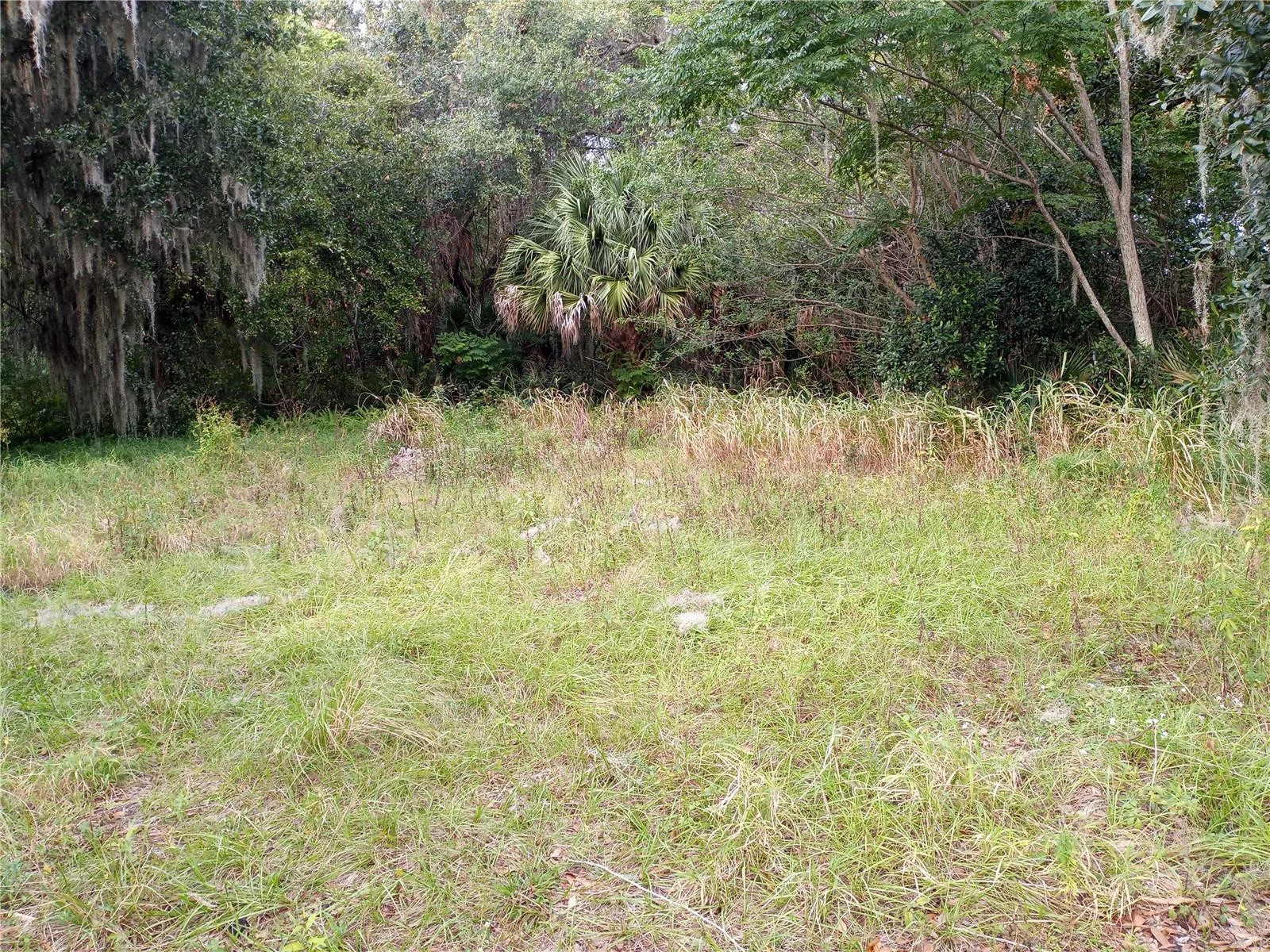 CARVER ST, MIMS, FL — photo 2