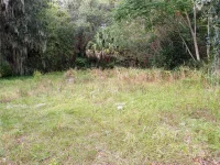 CARVER ST — photo 2
