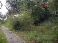 CARVER ST — photo 3