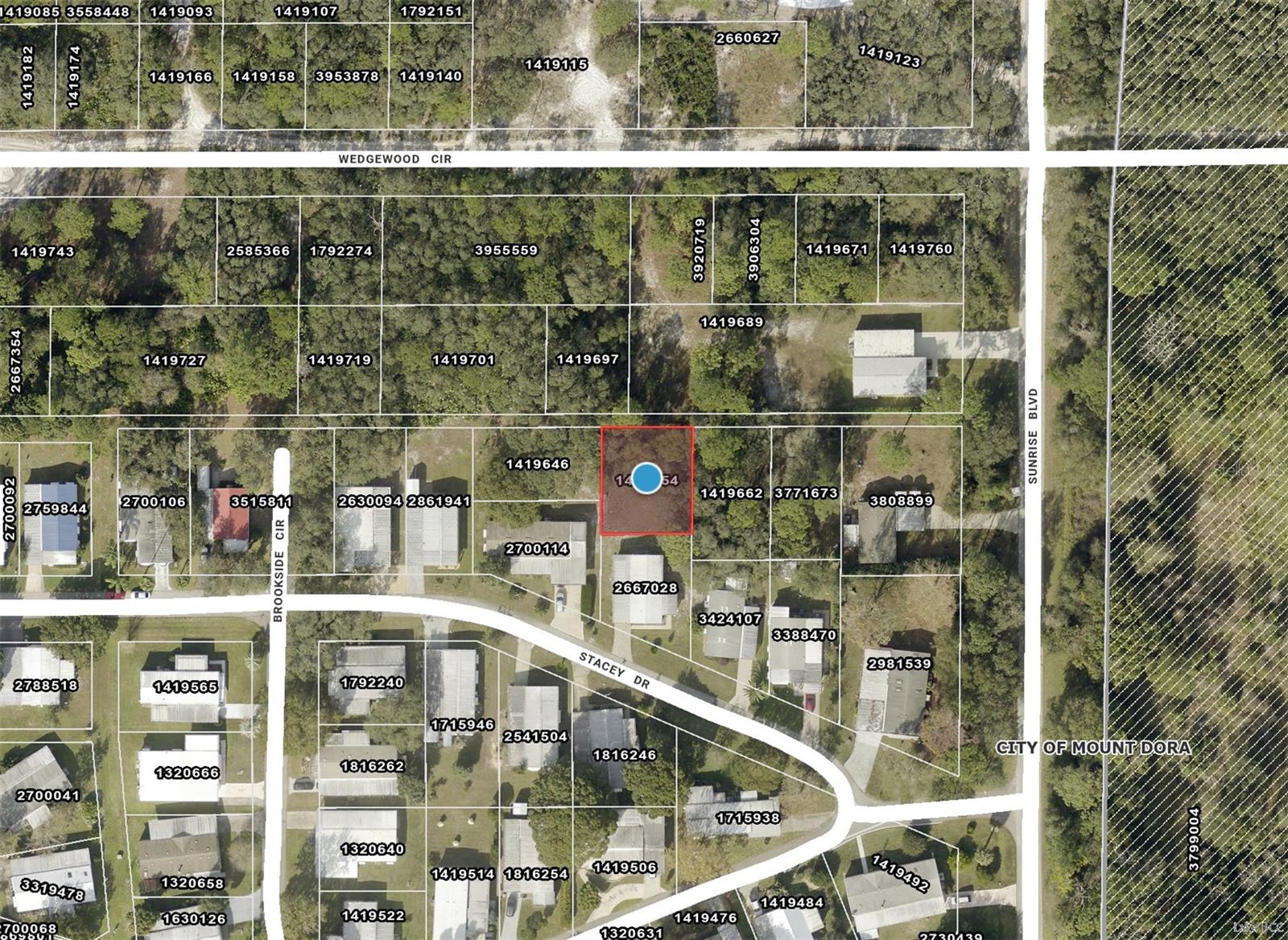 TBD STACEY DR, MOUNT DORA, FL — photo 3