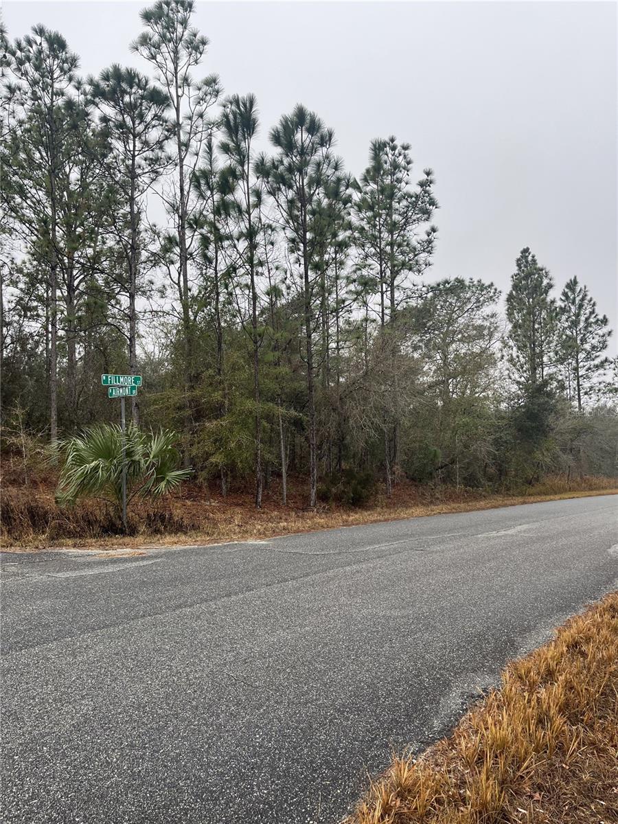 6692 N AIRMONT DR, DUNNELLON, FL — photo 2