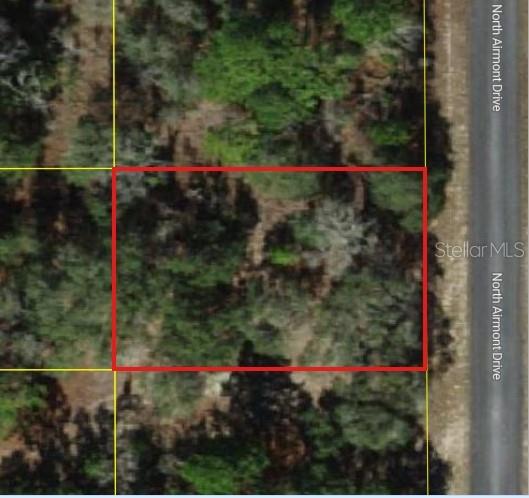 6692 N AIRMONT DR, DUNNELLON, FL — photo 3