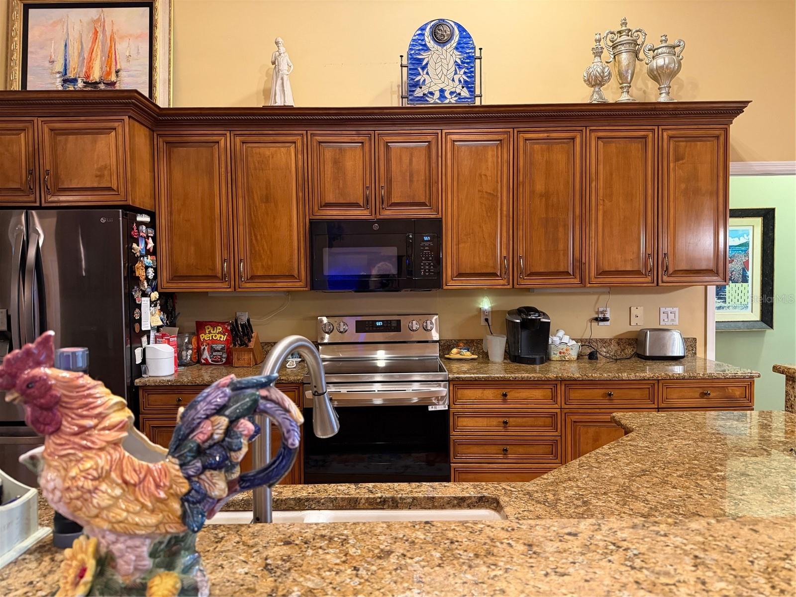2424 DEKAN LN, LAND O LAKES, FL — photo 22