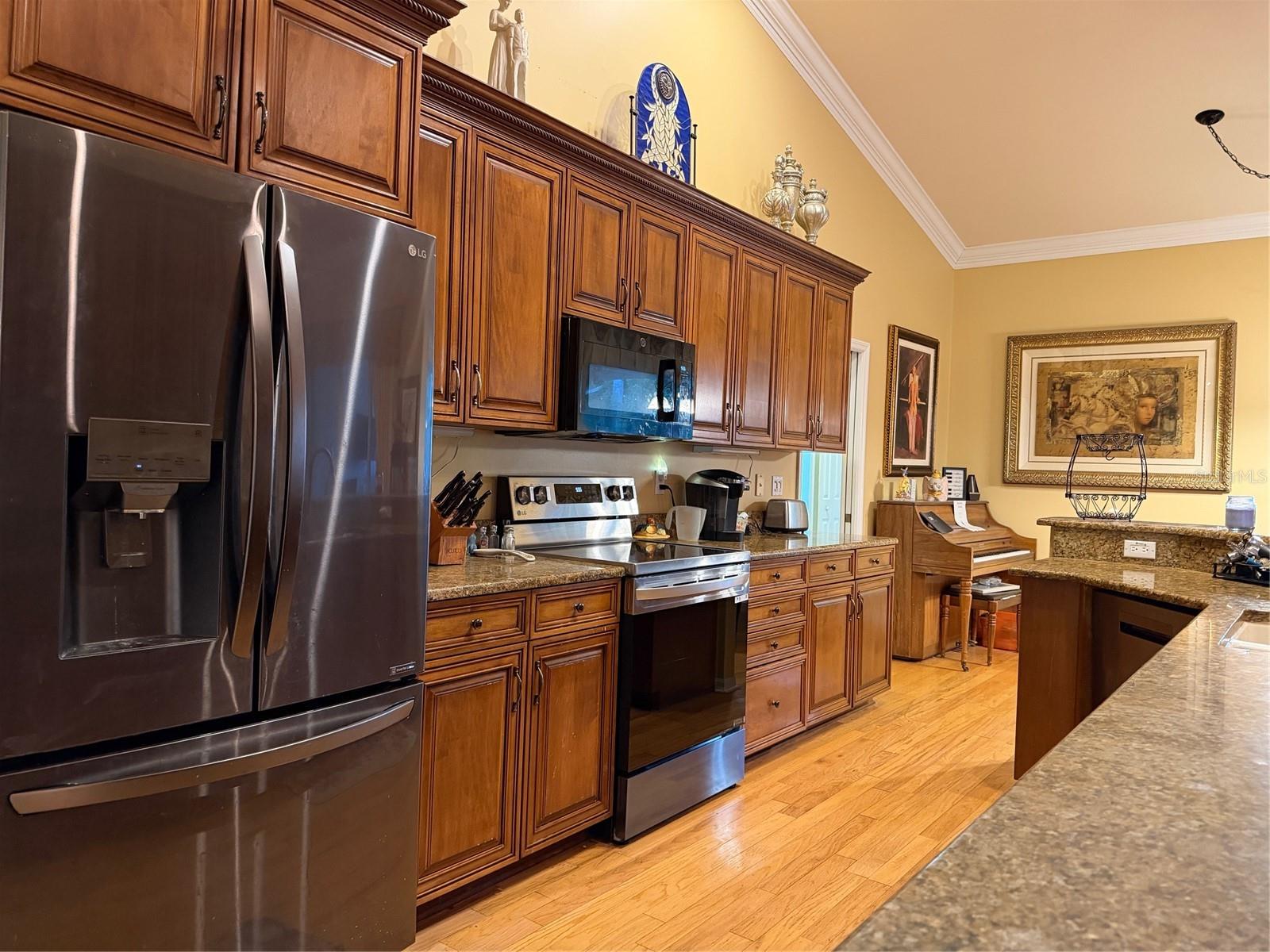 2424 DEKAN LN, LAND O LAKES, FL — photo 20
