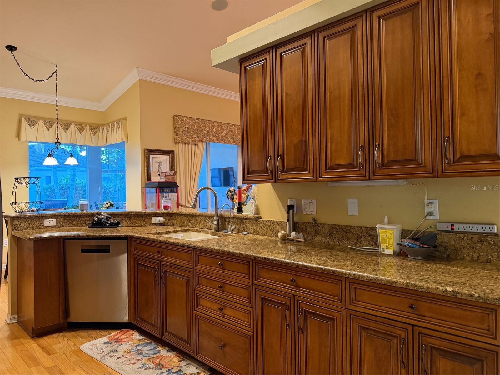 2424 DEKAN LN, LAND O LAKES, FL — photo 21