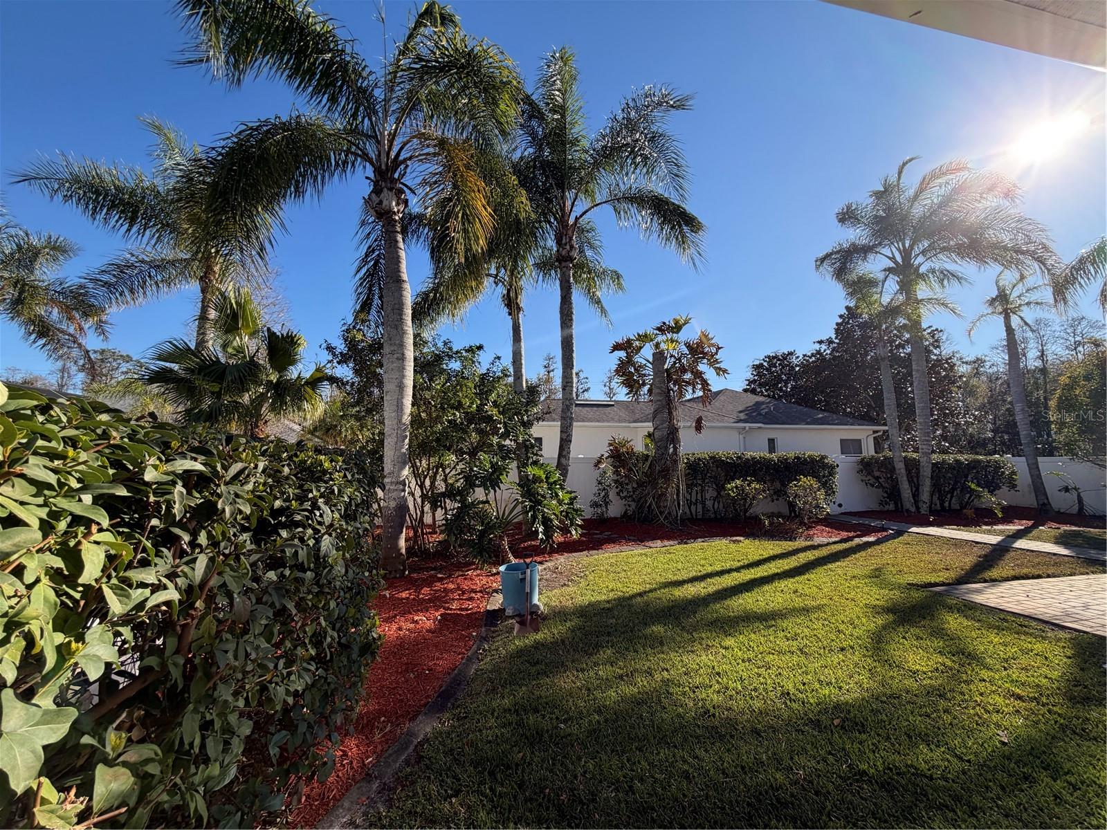2424 DEKAN LN, LAND O LAKES, FL — photo 3