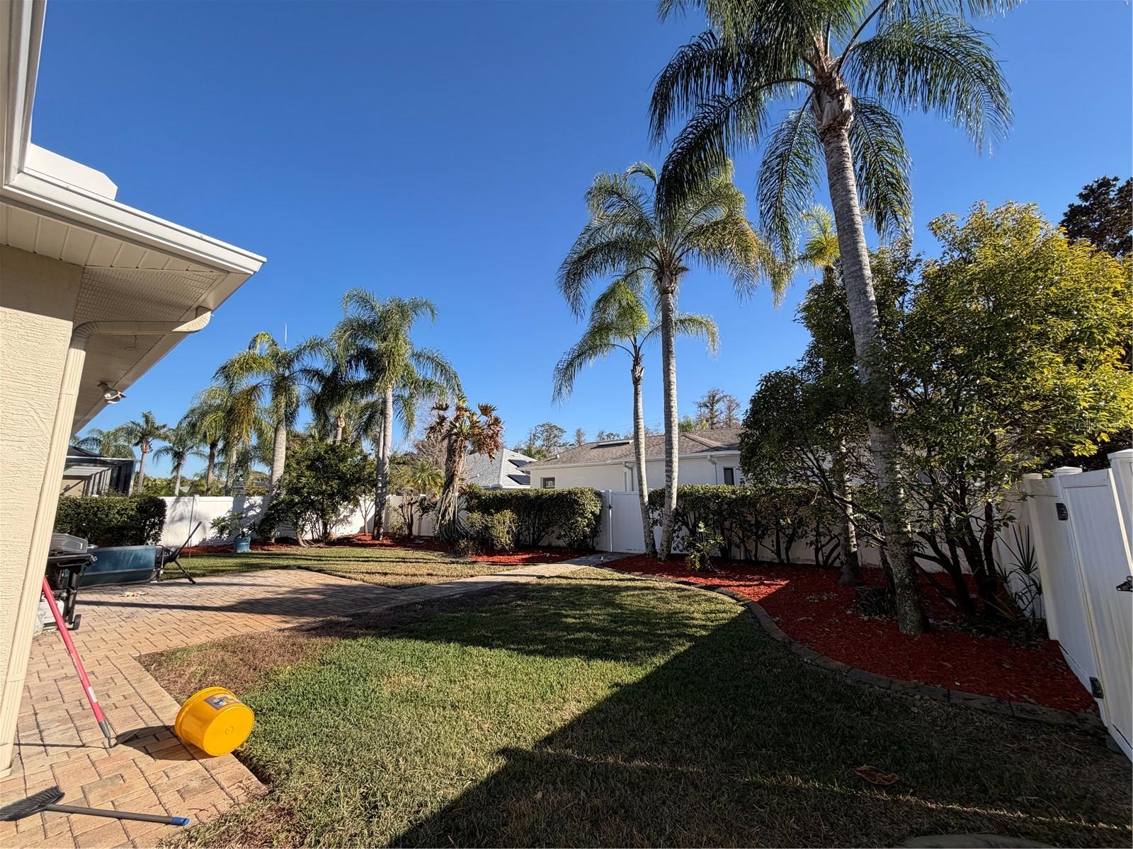 2424 DEKAN LN, LAND O LAKES, FL — photo 4